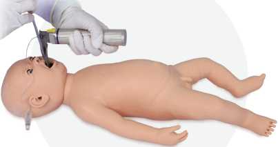 Neonatal Endotracheal Intubation Model | Product Code：EX-FA6248
