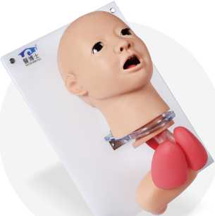 Child Endotracheal Intubation Model | Product Code：EX-FA6249