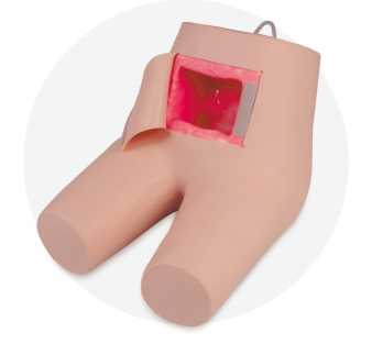 Enema and Defecation Assisting Model | Product Code：EX-NS6035