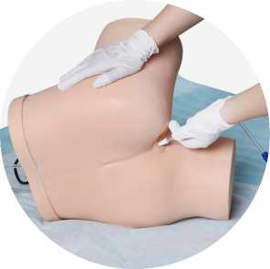 Enema Practice Model | Product Code：EX-NS6034