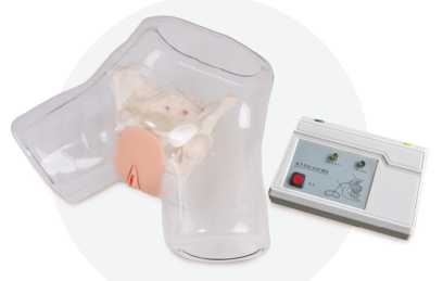 Electronic Transparent Female Catheterization Model | Product Code：EX-NS6031A