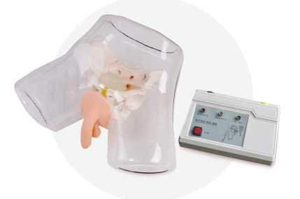 Electronic Transparent Male Catheterization Model | Product Code：EX-NS6030A