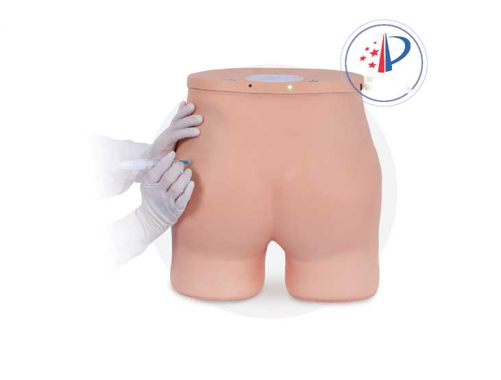 Detachable Intramuscular Injection Buttock | Product Code：EX-NS6028