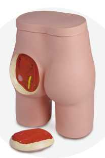 Buttock Injection Model with Anatomical Structure | Product Code：EX-NS6023