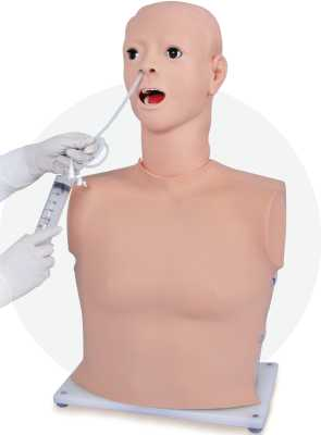 Nasal Feeding & Gastric Lavage Model | Product Code：EX-NS6036