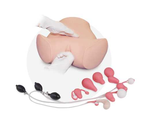 Gynecological Examination Model | Product Code：EX-GP6609