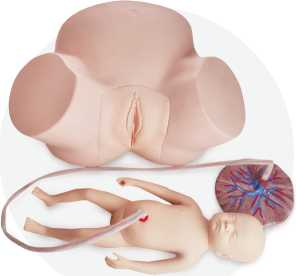 Midwifery Practice Model | Product Code：EX-GP6613