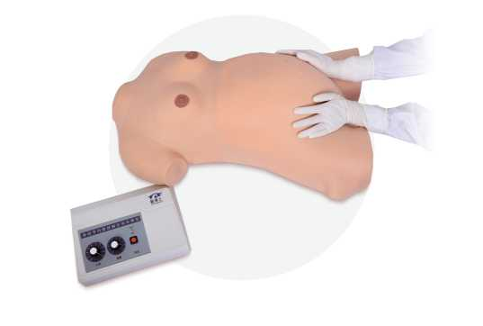 Advanced Maternity Examination Model | Product Code：EX-GP6631