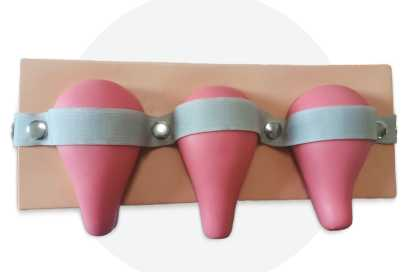 Artificial Abortion Uterus Demonstration Model | Product Code：EX-GP6632