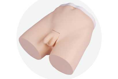 Vasectomy Training Model | Product Code：EX-GP6626