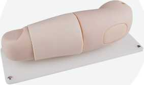 Subcutaneous Implantation Arm Model | Product Code：EX-GP6639