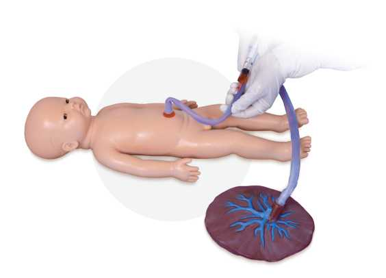 Umbilical Cord Nursing Simulator(Male) | Product Code：EX-PS6606