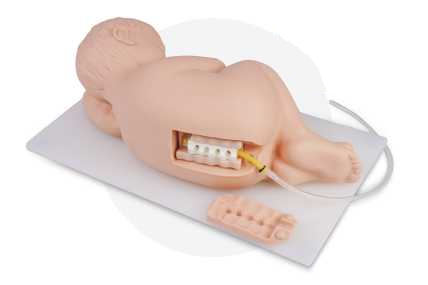 Infant Lumbar Puncture Model| Product Code：EX-PS6300