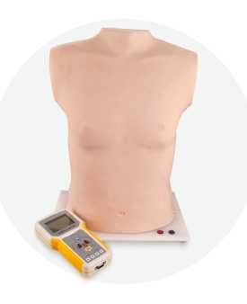 Cardiopulmonary Auscultation Manikin | Product Code：EX-PE6414