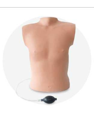 Pneumothorax Model| Product Code：EX-CS6227