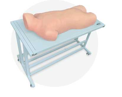 Liver Abscess and Thorax Puncture Model | Product Code：EX-CS6236