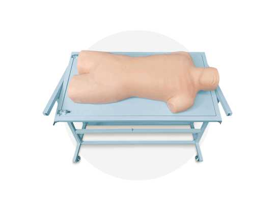 Comprehensive Puncture and Percussion Manikin | Product Code：EX-CS6229