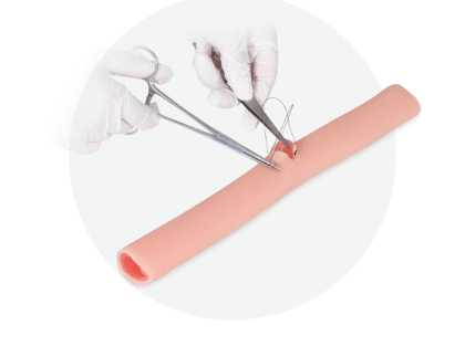 Intestine Anastomosis Model | Product Code：EX-CS6207 / EX-CS6208