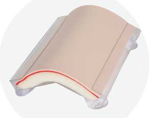 Suturing Skin Pad with Stand | Product Code：EX-CS6206