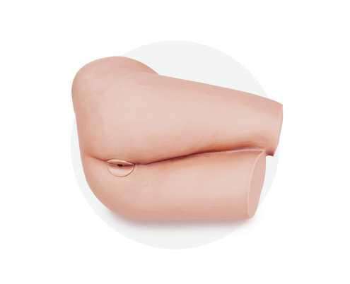 Rectal Examination Model| Product Code：EX-CS6254