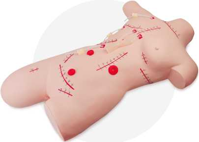 Surgical Suturing and Bandaging Model| Product Code：EX-CS6225