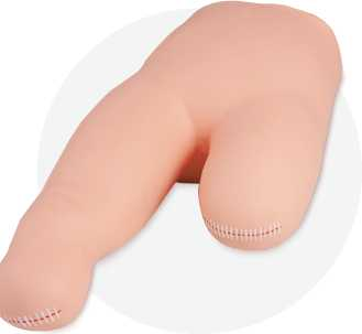 Inferior Position Bandaging Model| Product Code：EX-CS120L