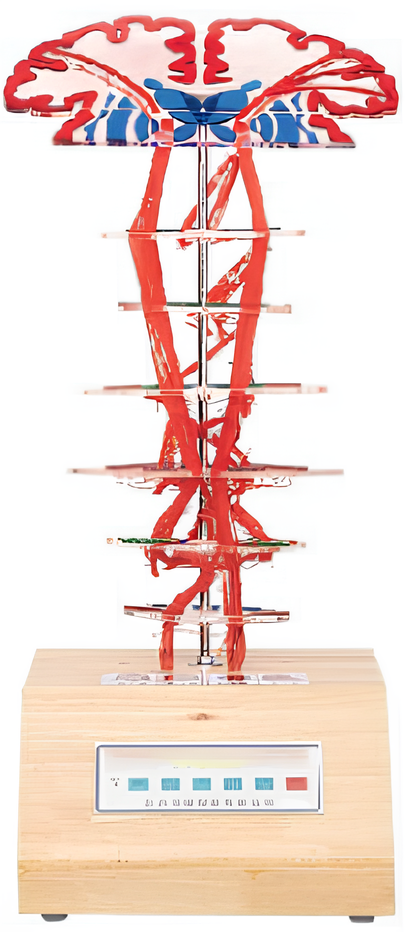 Name:Pyramidal system / Product Code：  EX-E28