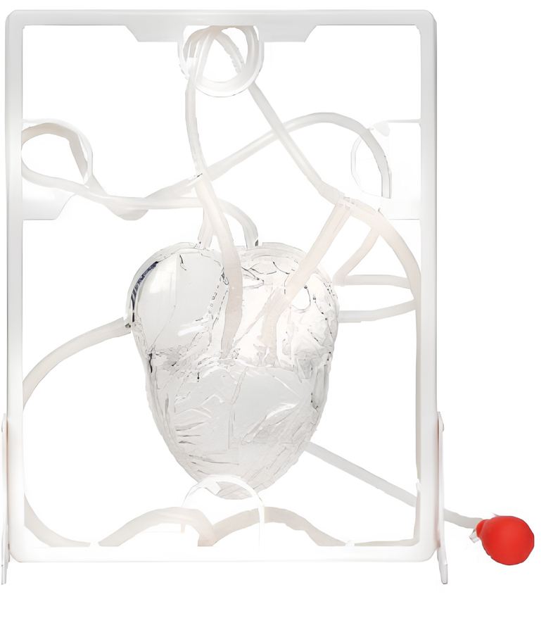 Name:Manual hydraulic blood circulation analog   /Model:EX-E101